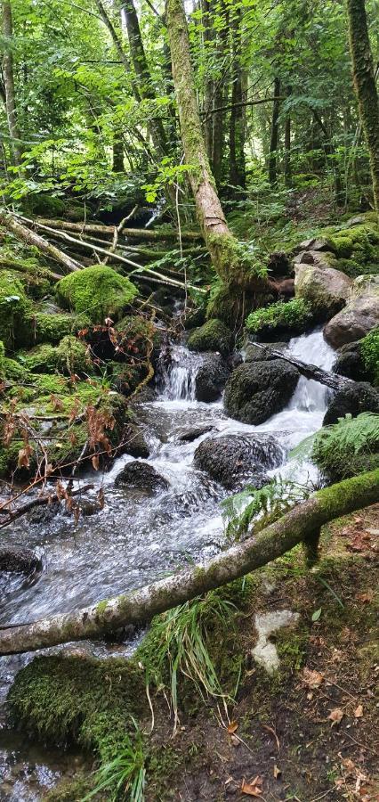 Black Forest Kuckucksnest Schönwalde Exteriör bild