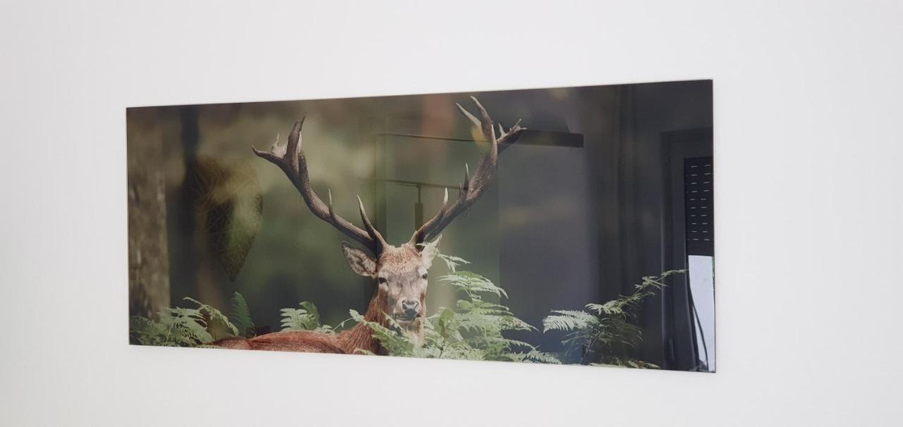 Black Forest Kuckucksnest Schönwalde Exteriör bild