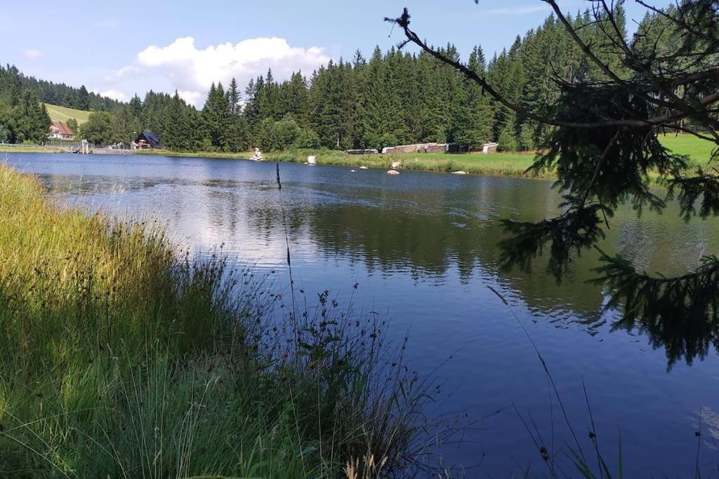 Black Forest Kuckucksnest Schönwalde Exteriör bild